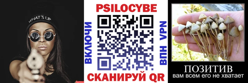 Псилоцибиновые грибы ЛСД  Шали 